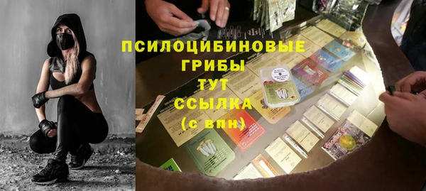 ECSTASY Пестово