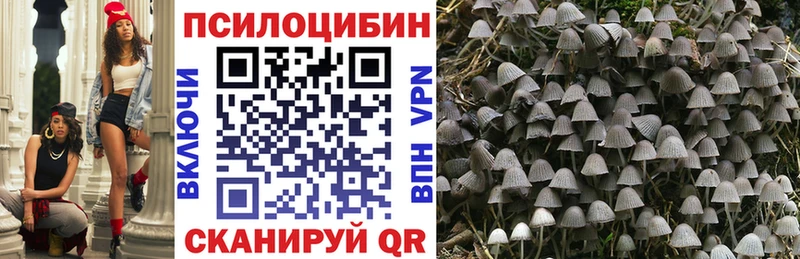 Псилоцибиновые грибы GOLDEN TEACHER  kraken tor  Тверь 