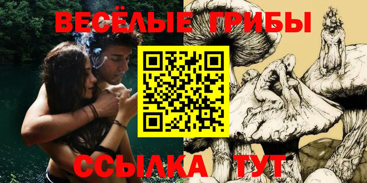 Тверь  Псилоцибиновые грибы мицелий  как найти наркотики  Вход с VPN  Псилоцибиновые грибы прущие грибы 