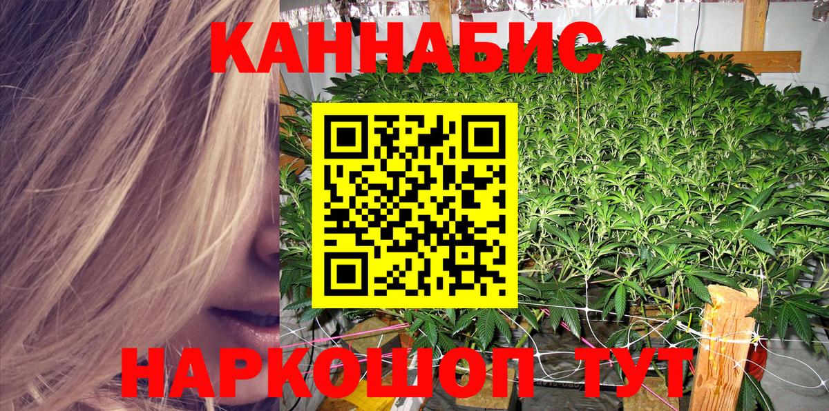 Бошки марихуана семена Тверь